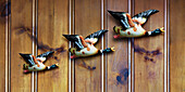 Three Decorative Ducks on Wood Panelling