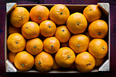 Box of Clementines