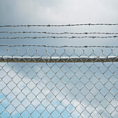 Chain Link Fence and Barbed Wire