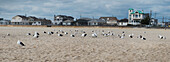 Panoramablick auf Strandhäuser an der Küste von Jersey, Point Pleasant, New Jersey, USA