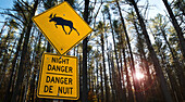 Nahaufnahme des Elch-Gefahrenschilds, Trans Canada Highway, in der Nähe von Wawa, Ontario, Kanada