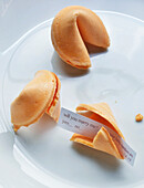 Close-up of fortune cookies on white plate, showing text for marriage proposal, studio shot