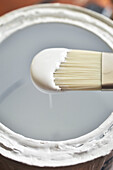 Close-up of Paint Brush with White Paint