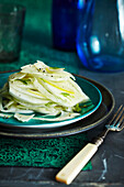Close-up of French Fennel Salad with Lemon, Studio Shot