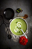 Cilantro soup in bowl with red flower, Mexican Fiesta, studio shot