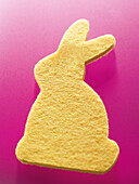 Yellow Easter Bunny Sponge on Pink Background