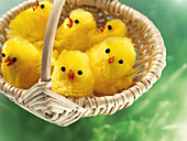 Easter Chicks in Basket
