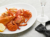 Plate with leftovers of Lobster and Bowtie, Studio Shot