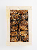 Draufsicht auf eine Kiste mit Austern, Studioaufnahme