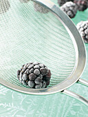 Close-up of frozen blackberry in sieve, studio shot