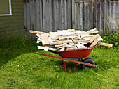 Wheelbarrow Full of Junk in Backyard