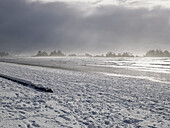 Langer Strand im Winter, Tofino, Vancouver Island, British Columbia, Kanada