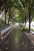 Bänke im Battery Park, Manhattan, New York City, New York, USA