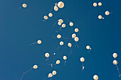 Weiße Hochzeitsluftballons
