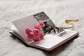 Aufgeschlagenes Buch mit Rosen