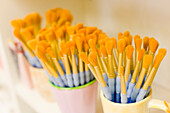 Paint Brushes in Cups