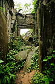 Beng Mealea, Angkor, Kambodscha