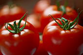 Close-up of Tomatoes