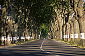 Straße, Provence, Frankreich