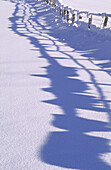 Zaun und Schatten im Schnee, Österreich