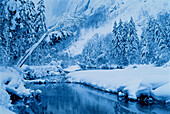 Fluss und Bäume im Winter Bluntautal, Salzburg Österreich