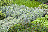 Herb Garden, Salzburger Land, Austria