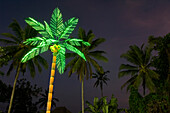 Artificial Palm Tree at Night