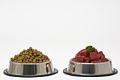 Dog Food and Chopped Beef in Dog Bowls