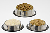 Dog Food, Rice, Grains, in Dog Bowls