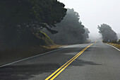 Highway 1, Kalifornien, USA