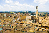 Piazza Del Campo, Siena, Provinz Siena, Toskana, Italien