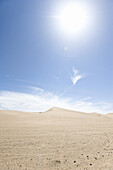 Erholungsgebiet Imperial Sand Dunes, Kalifornien, USA