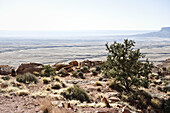 Blick auf die Wüste vom Highway 89, Navajo-Indianer-Reservat, Navajo County, Arizona, USA