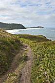 Pathway along Coastal Hills, Ilha do Mel, Parana, Brazil