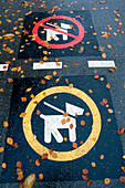 Hundesymbole auf nasser asphaltierter Straße im Herbst