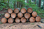 Stack of Firewood