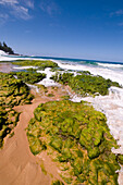 Beach in Kauai, Hawaii, USA