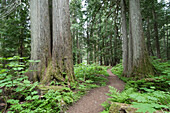 Garibaldi Provincial Park, British Columbia, Canada