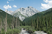 Flussbett, Brooks Range Mountains, Alaska, USA