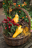 Autumnal Decoration with Ornamental Pumpkin