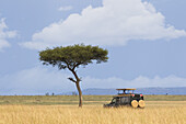 Safari-Fahrzeug, Masai Mara-Nationalreservat, Distrikt Narok, Rift Valley-Provinz, Kenia