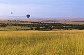 Heißluftballons über dem Masai Mara Nationalreservat, Kenia