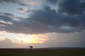 Gewitterwolken über afrikanischen Ebenen, Masai Mara Nationalreservat, Kenia