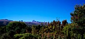 Mount Kenya National Park, Kenia, Afrika; Unesco Biosphärenreservat und Weltkulturerbe