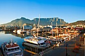 Victoria Wharf, Kapstadt, Südafrika; Boote angedockt im Hafen