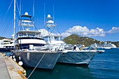 Sportfischerboote im Hafen; Charlotte Amalie, St. Thomas Island, U.S. Jungferninseln