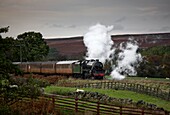 Zug in Bewegung; Grosmont, North Yorkshire, England, Vereinigtes Königreich