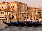 Reihe von Gondeln, Gebäude im Hintergrund; Venedig, Italien