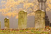 Pioneer Cemetery, Portland, Oregon, Usa