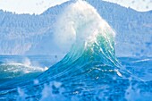 Morning Waves At Cape Kiwanda; Pacific City, Oregon, Usa